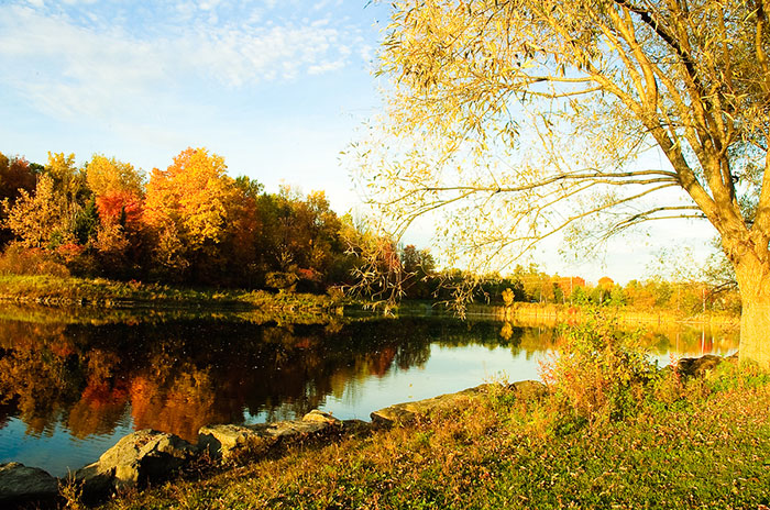 Kanata, biggest Ottawa suburb and fastest growing in Eastern Ontario 