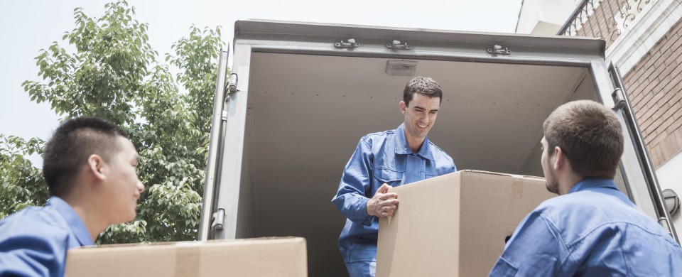 Quotes from moving companies in the US