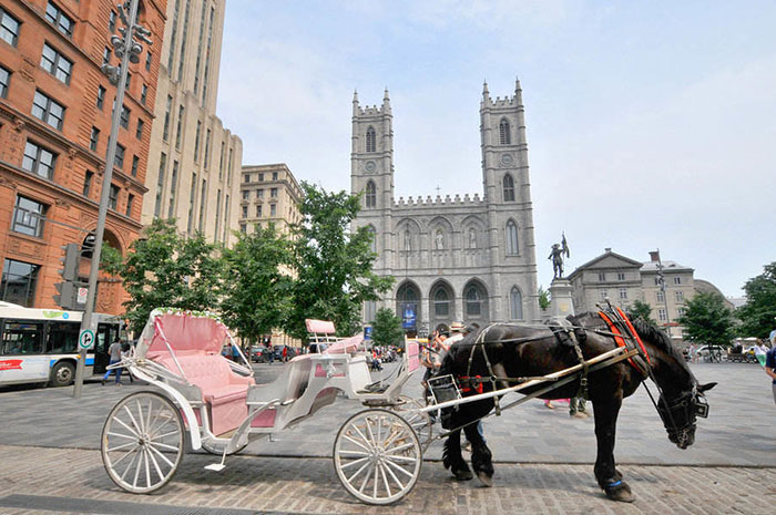 A Taste of Old Europe – cobbled streets and horse drawn buggy