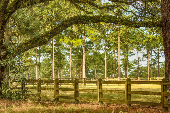 Move to Tallahassee countryside to enjoy a myriad of outdoor recreational opportunities