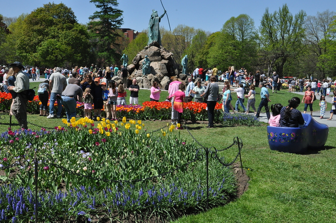 The Annual Tulip Festival in May attracts thousands of visitors to Washington Park, Albany