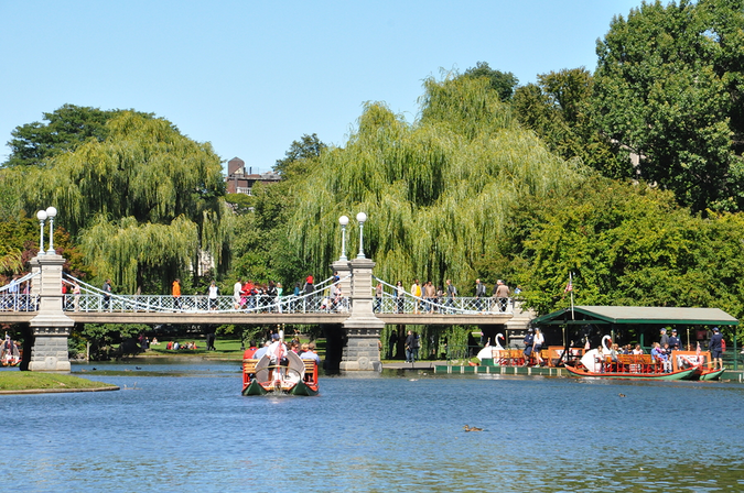 Tourists and locals enjoy swan boats at the Public Gardens
