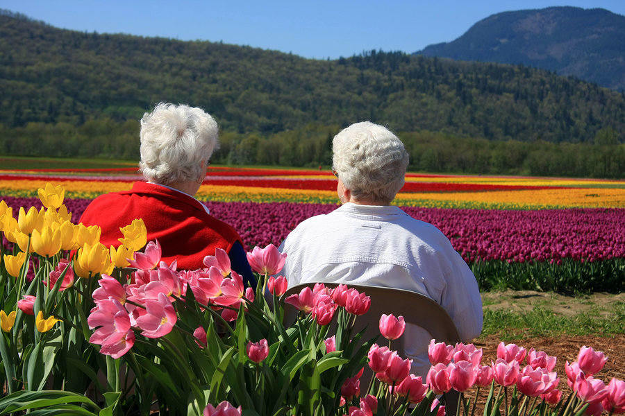 Majority of seniors prefer to move to locations with beautiful scenery and milder weather